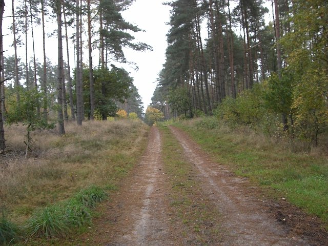 CTF Celle Strecke 094